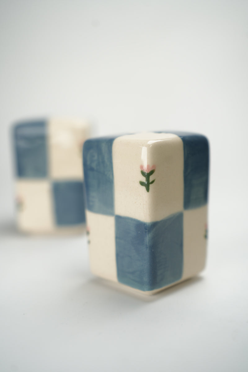 Blue & Pink Shaker Set